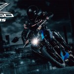 Kawasaki Z250 ABS 2015