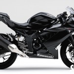 2016 Kawasaki Ninja 250SL Black