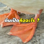 ตีนเป็ด
