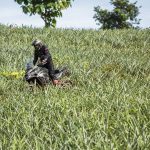Test Benelli TRK 502 07