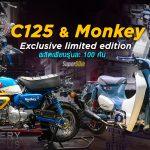 C125-Monkey-W