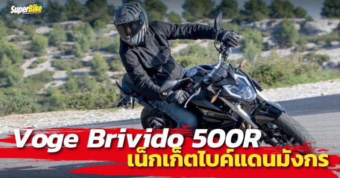 Voge Brivido 500R