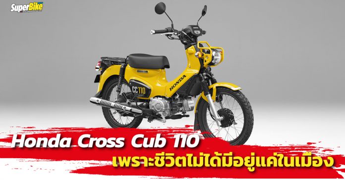 Cross Cub 110