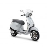 Resized-VESPAS~1 (2)