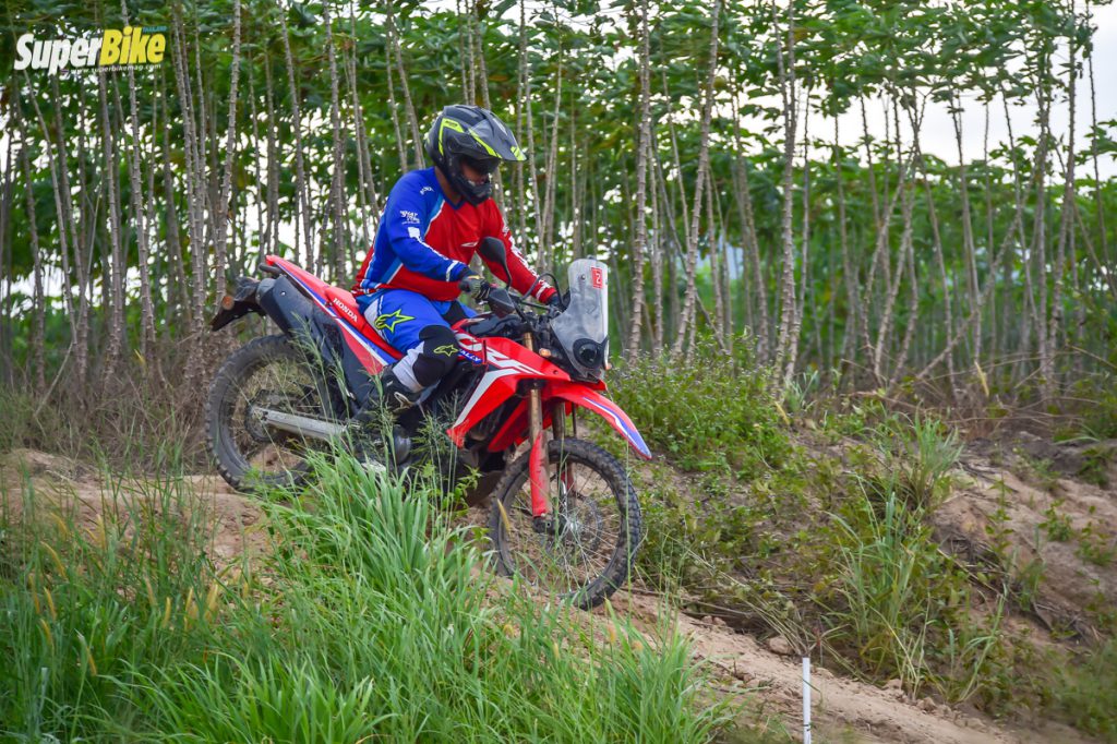 รีวิว Honda CRF300L & CRF300RALLY