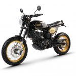 B_bullit-hero-250-gold-black-1