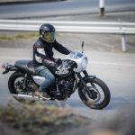 Kawasaki W800 Cafe (51)