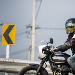 Kawasaki W800 Cafe (54)