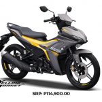Resize-yellow-hornet
