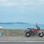 Honeyview_Honda DAX125 2022 (1)