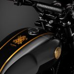 120th Year Anniversary Editon Interceptor 650_4