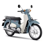 Honda Super Cub_Grey