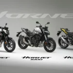 Honda CB1000 Hornet (7)
