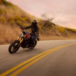 Triumph Speed 400 Dynamic (7)