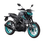 Yamaha MT15 2024 (7)