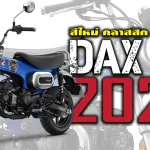 DAX125 2024