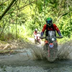 DSC07140 (2)