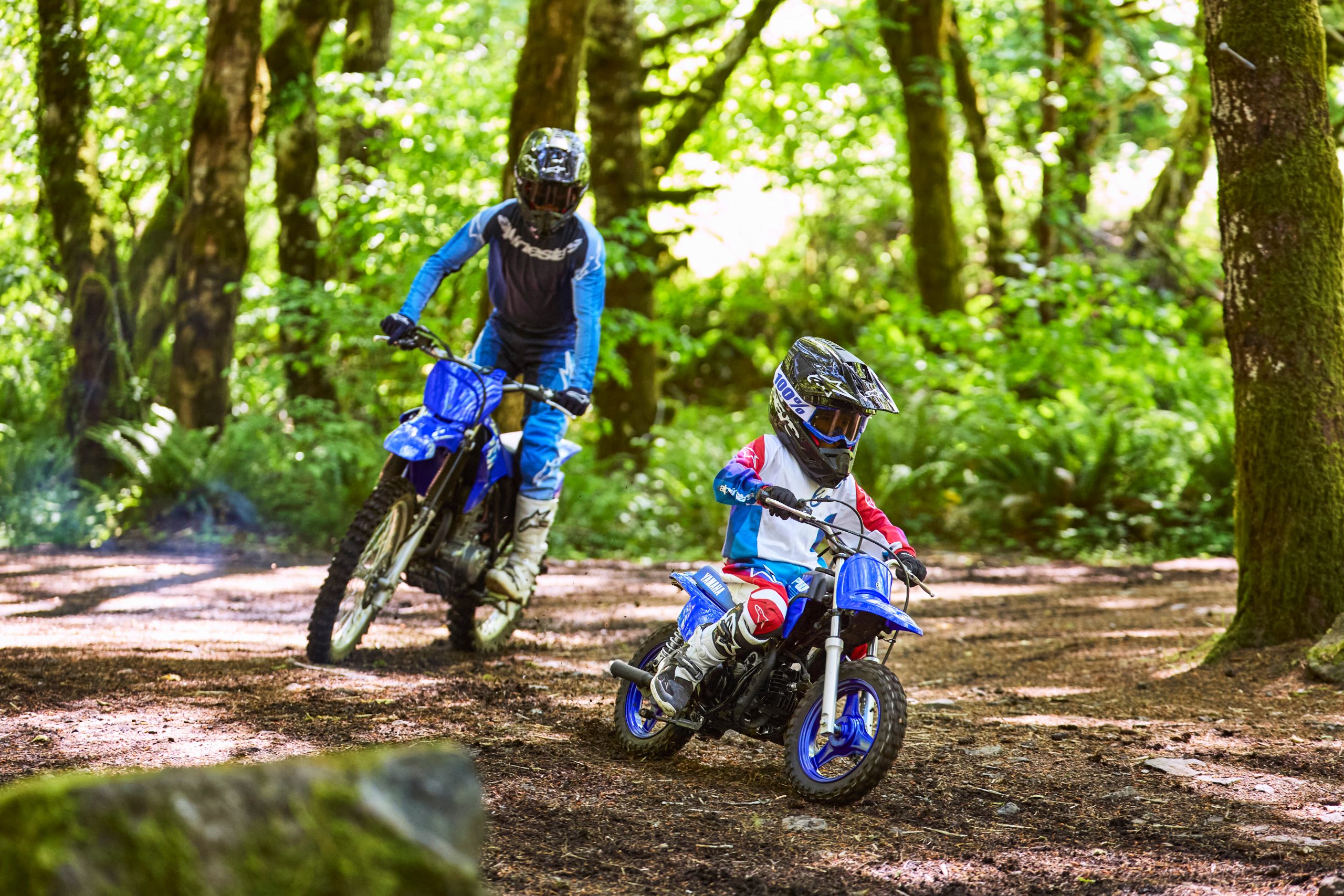 Yamaha PW50 2025
