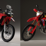 CRF300L and Rally (1)