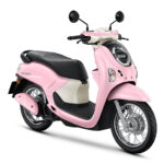 Honda Scoopy-Bike Gallery926x518