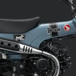 model-highlight-_d5654