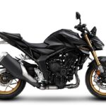 ThHonda_CB1000Hornet_ThumbnailProduct_620x399