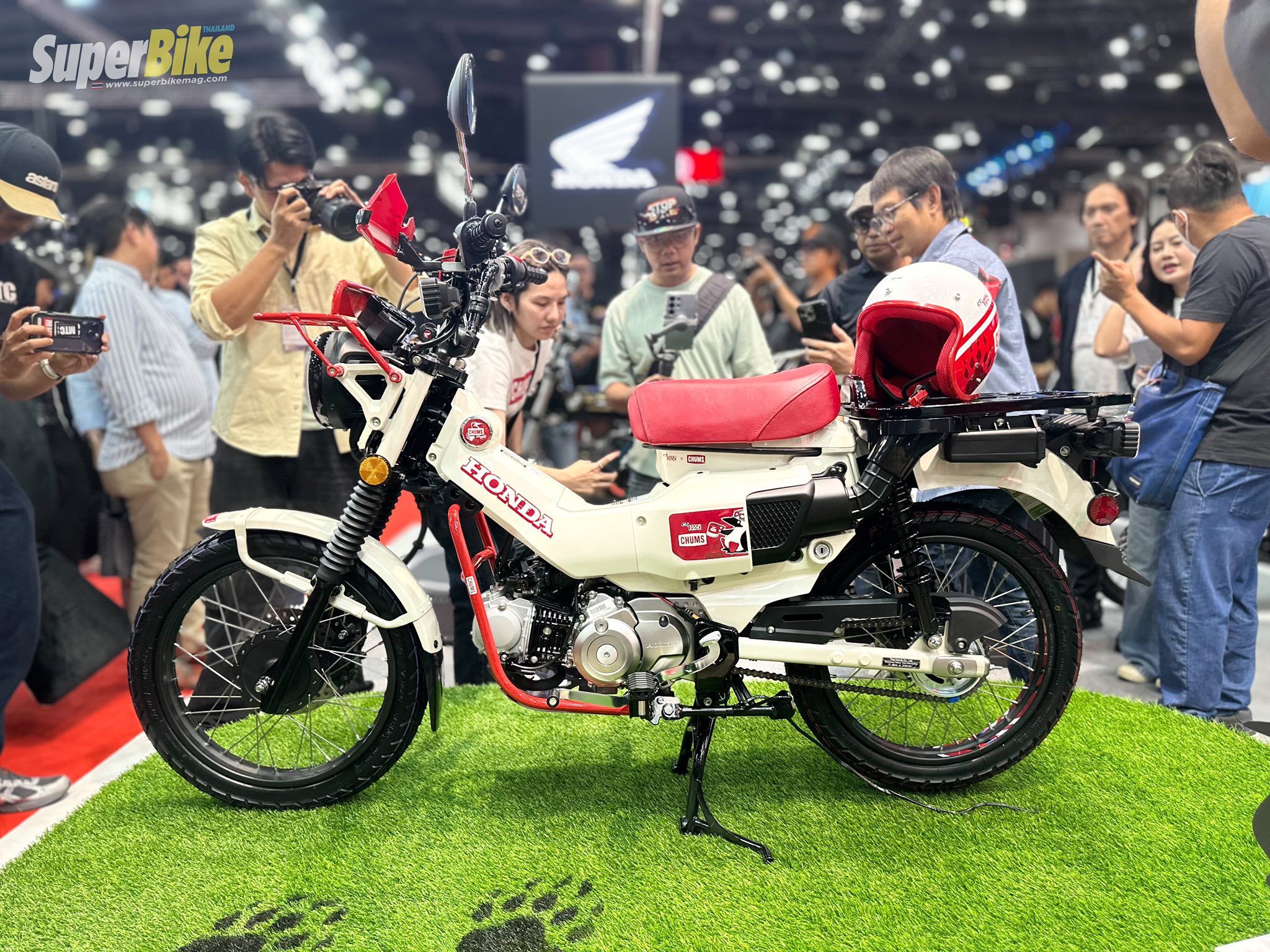 Big Motor Sale 2025