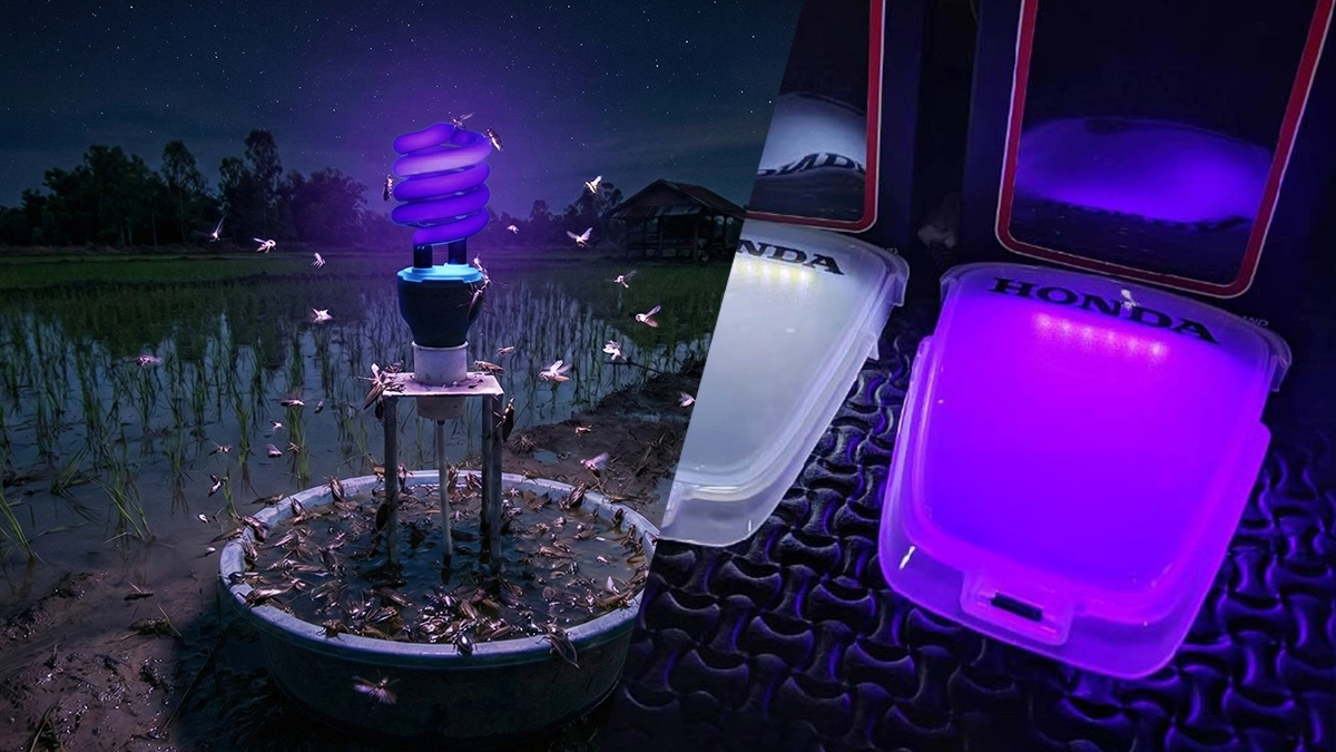 Superbikemag ไฟแมงดา