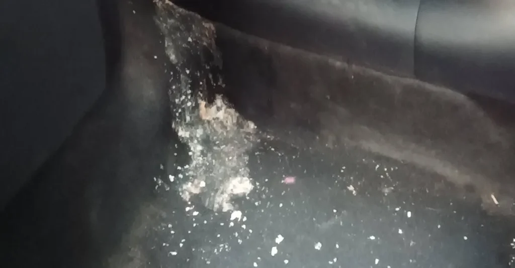 ผู้ปกครองรับผิดชอบเด็ก