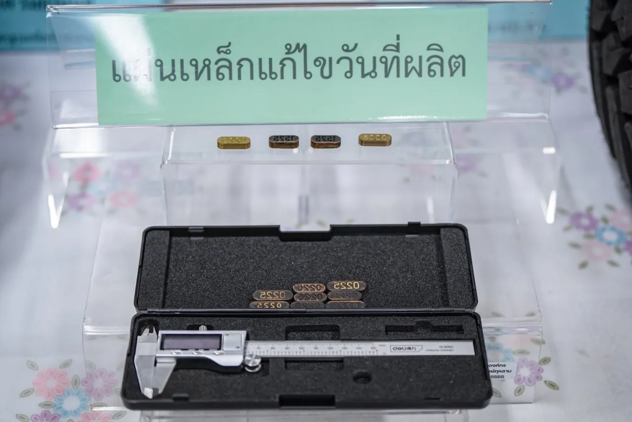 ยางย้อมแมว (3)