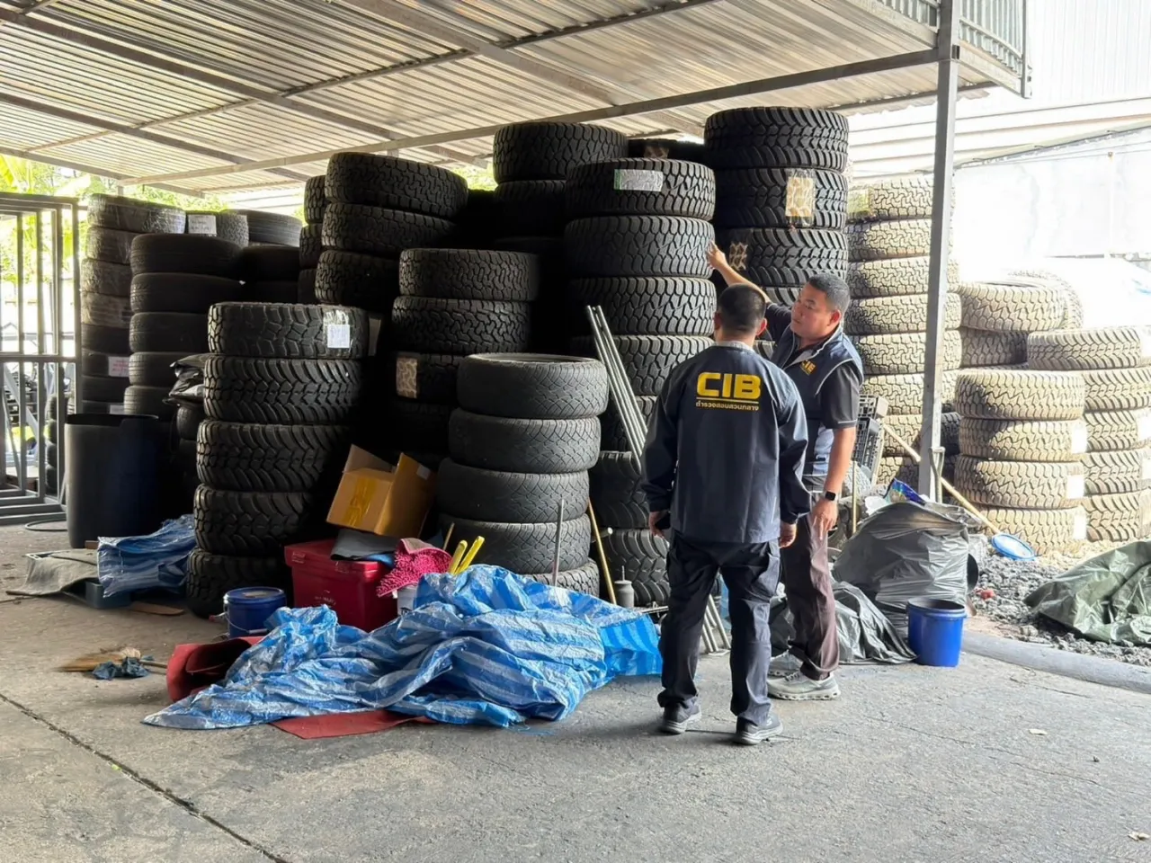 ยางย้อมแมว (4)