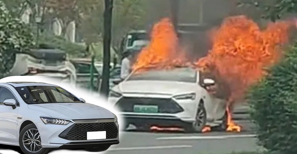 BYD Qin Plus DM-i
