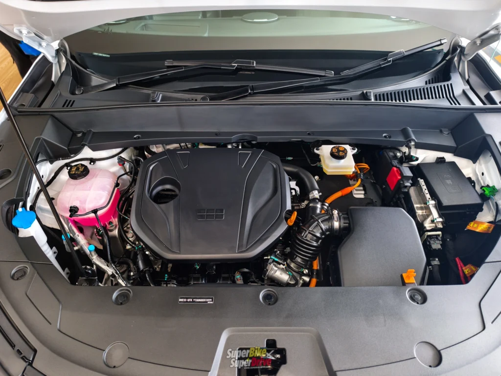GEELY STARRAY EM-R