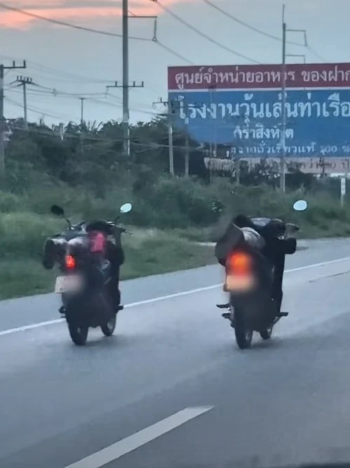 แก๊งวัยรุ่น